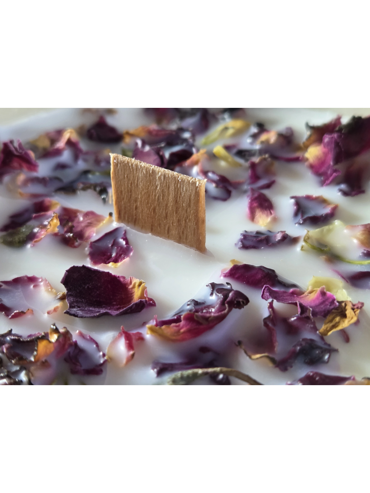 Bougie Bohème 200 g en porcelaine – Mèche bois crépitante | Parfums au choix | TEKAMAKA