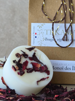 Pack découverte fondants parfumés – 5 parfums, 25 fondants | TEKAMAKA