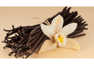 Rituel de Vanille : pyramide olfactive & parfum