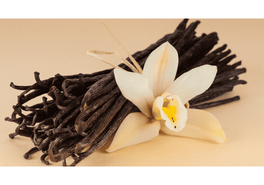 Rituel de Vanille : pyramide olfactive & parfum