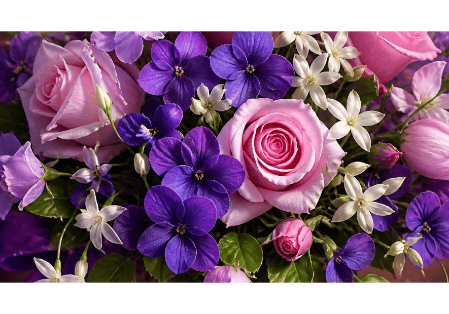 Violette Rose : pyramide olfactive & parfum