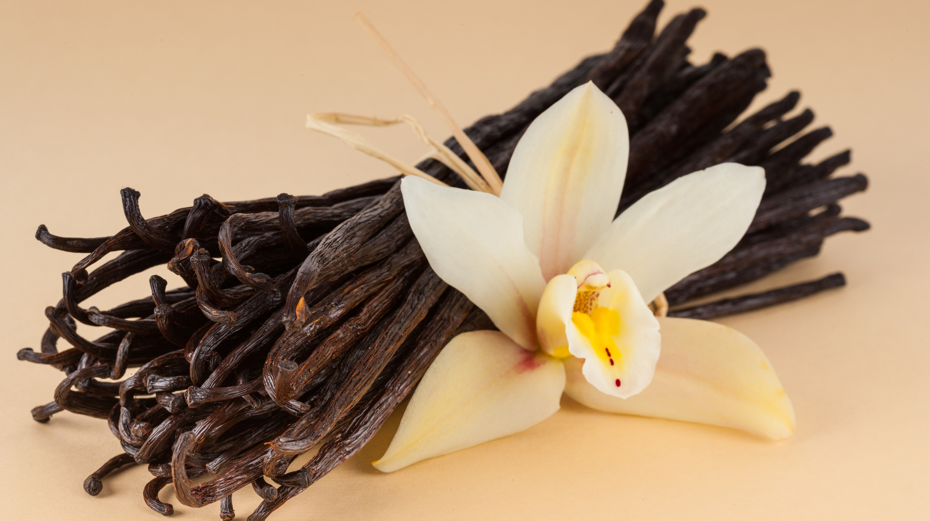 Univers parfumé Rituel de Vanille TEKAMAKA